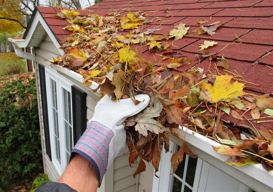 Clearing dead leaves from gutters
