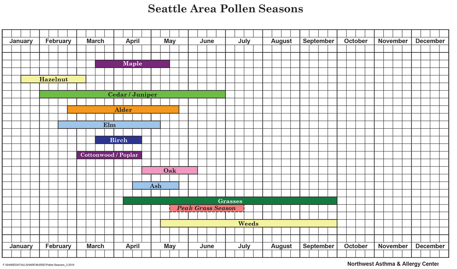 Seattle Area Pollen Seasons