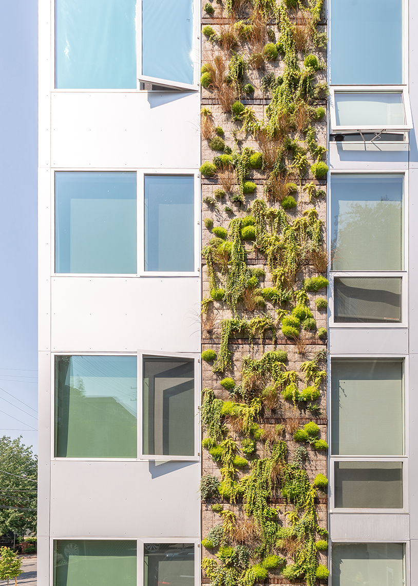 Build LLC 602 Flats living wall, © Andrew van Leeuwen