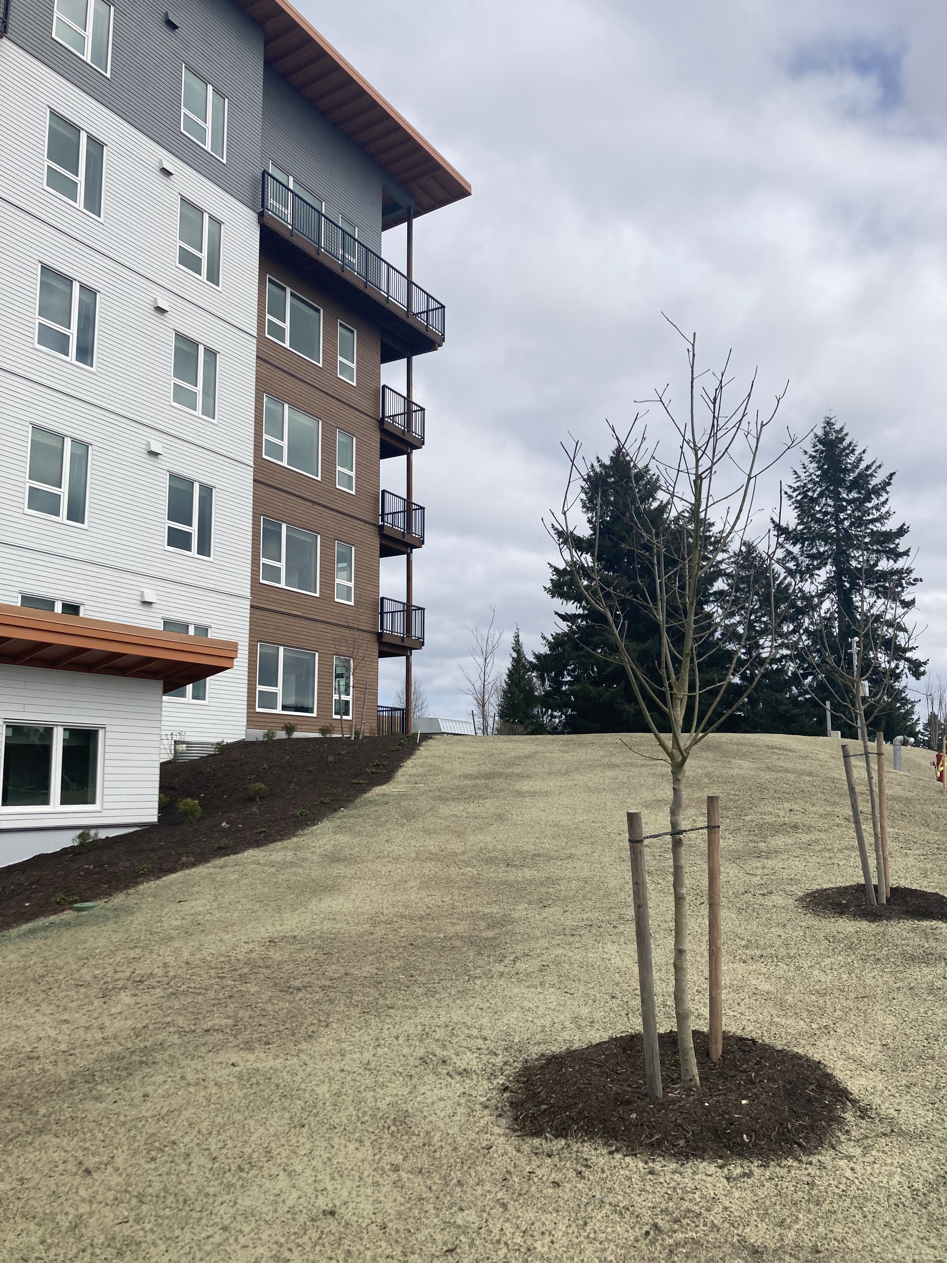 Walsh Construction's Eliseo apartments, exterior