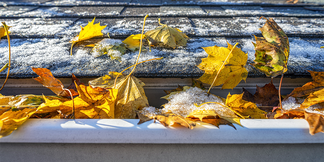 Leaves in a gutter